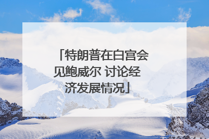 特朗普在白宫会见鲍威尔 讨论经济发展情况