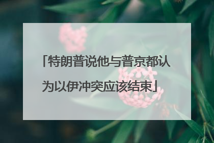 特朗普说他与普京都认为以伊冲突应该结束