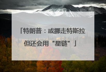 特朗普：或挪走特斯拉 但还会用“星链”