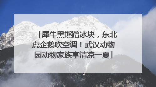 犀牛黑熊蹭冰块，东北虎企鹅吹空调！武汉动物园动物家族享清凉一夏
