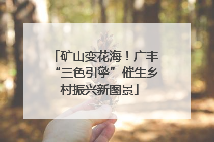 矿山变花海！广丰“三色引擎”催生乡村振兴新图景