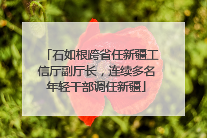 石如根跨省任新疆工信厅副厅长，连续多名年轻干部调任新疆