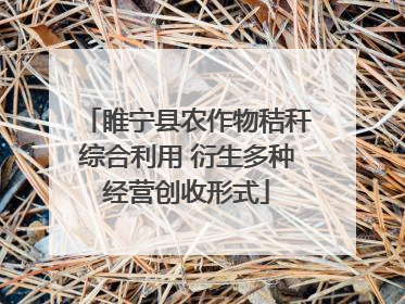 睢宁县农作物秸秆综合利用 衍生多种经营创收形式