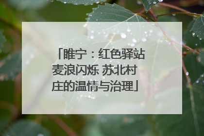睢宁：红色驿站麦浪闪烁 苏北村庄的温情与治理