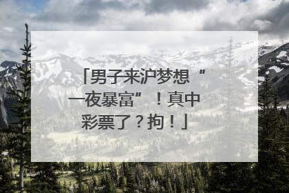 男子来沪梦想“一夜暴富”！真中彩票了？拘！