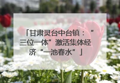 甘肃灵台中台镇：“三位一体”激活集体经济“一池春水”