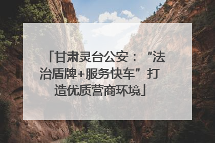 甘肃灵台公安：“法治盾牌+服务快车”打造优质营商环境