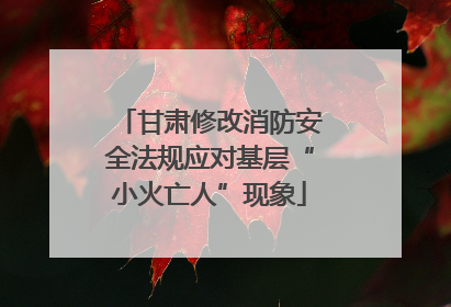甘肃修改消防安全法规应对基层“小火亡人”现象