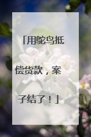 用鸵鸟抵偿货款，案子结了！
