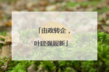 由政转企，叶建强履新
