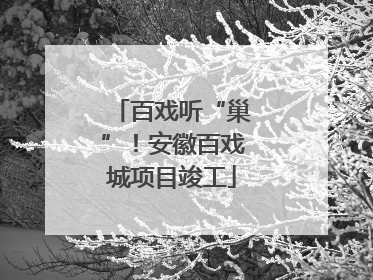 百戏听“巢”！安徽百戏城项目竣工