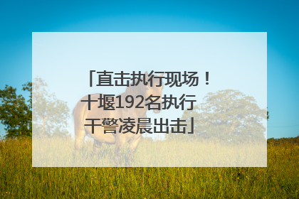 直击执行现场！十堰192名执行干警凌晨出击