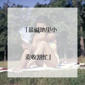 盐碱地里小麦收割忙