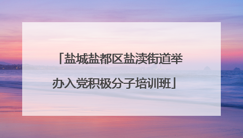 盐城盐都区盐渎街道举办入党积极分子培训班