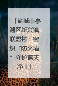 盐城市亭湖区新兴镇联盟村：密织“防火墙”守护蓝天净土