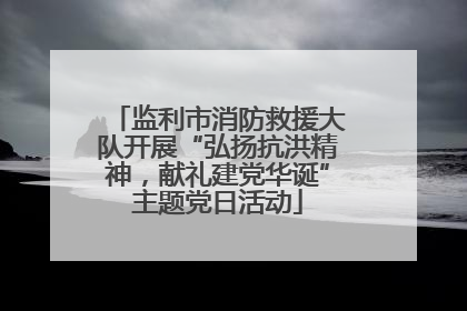 监利市消防救援大队开展“弘扬抗洪精神，献礼建党华诞”主题党日活动