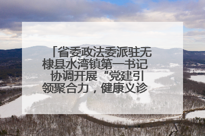 省委政法委派驻无棣县水湾镇第一书记 协调开展“党建引领聚合力，健康义诊惠乡亲”义诊活动