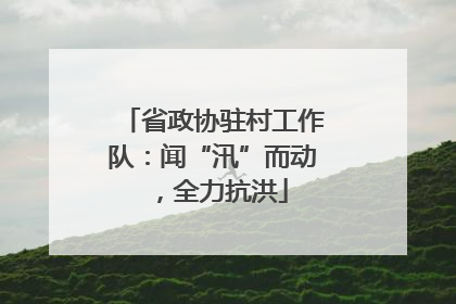 省政协驻村工作队：闻“汛”而动，全力抗洪