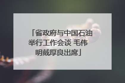 省政府与中国石油举行工作会谈 毛伟明戴厚良出席