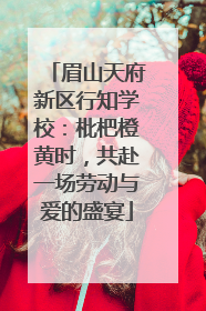 眉山天府新区行知学校：枇杷橙黄时，共赴一场劳动与爱的盛宴