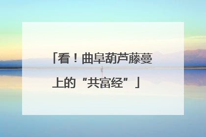 看！曲阜葫芦藤蔓上的“共富经”