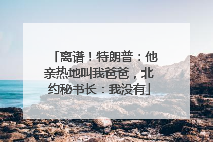 离谱！特朗普：他亲热地叫我爸爸，北约秘书长：我没有