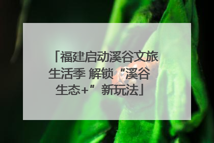 福建启动溪谷文旅生活季 解锁“溪谷生态+”新玩法