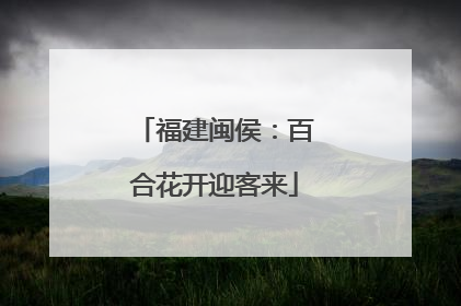 福建闽侯：百合花开迎客来