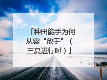 种田能手为何从容“放手”（三夏进行时）