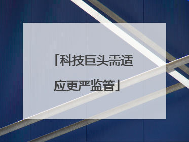 科技巨头需适应更严监管