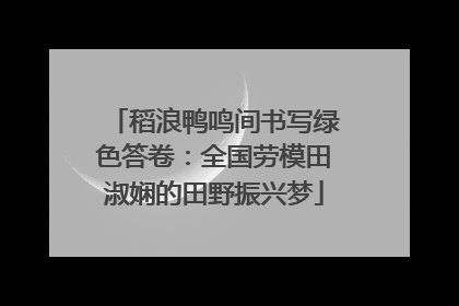 稻浪鸭鸣间书写绿色答卷：全国劳模田淑娴的田野振兴梦
