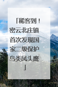 稀客到！密云北庄镇首次发现国家二级保护鸟类凤头鹰
