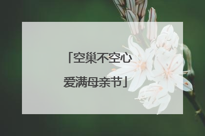 空巢不空心 爱满母亲节