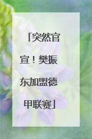 突然官宣！樊振东加盟德甲联赛