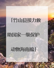 竹山县接力救助国家一级保护动物海南鳽