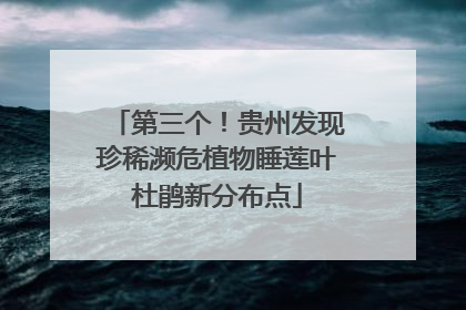 第三个！贵州发现珍稀濒危植物睡莲叶杜鹃新分布点