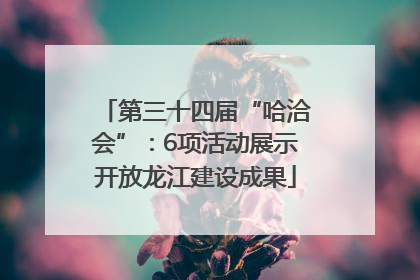 第三十四届“哈洽会”：6项活动展示开放龙江建设成果