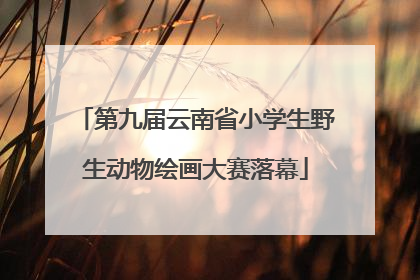 第九届云南省小学生野生动物绘画大赛落幕