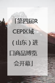 第四届RCEP区域（山东）进口商品博览会开幕
