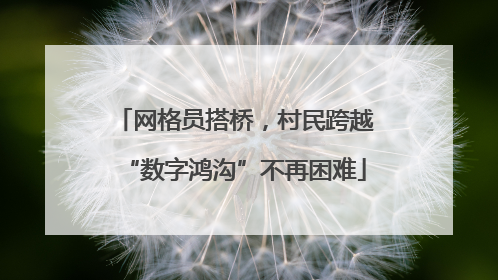 网格员搭桥，村民跨越“数字鸿沟”不再困难