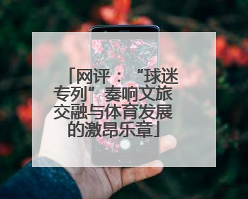 网评：“球迷专列”奏响文旅交融与体育发展的激昂乐章