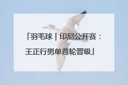 羽毛球｜印尼公开赛：王正行男单首轮晋级