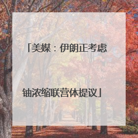 美媒：伊朗正考虑铀浓缩联营体提议