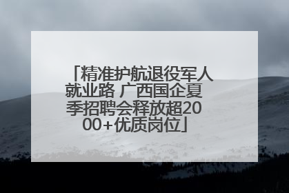 精准护航退役军人就业路 广西国企夏季招聘会释放超2000+优质岗位