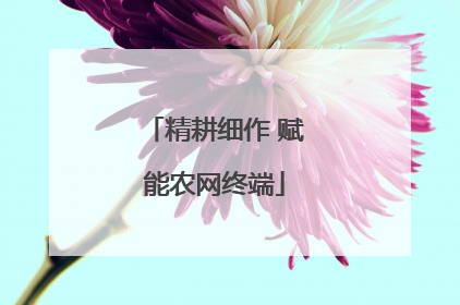 精耕细作 赋能农网终端