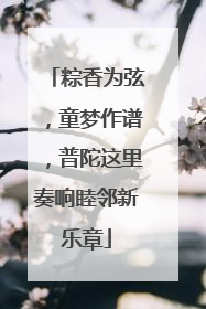 粽香为弦，童梦作谱，普陀这里奏响睦邻新乐章