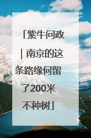 紫牛问政｜南京的这条路缘何留了200米不种树