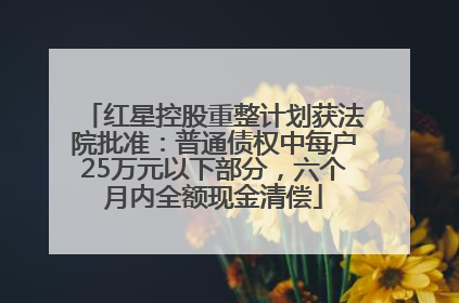 红星控股重整计划获法院批准：普通债权中每户25万元以下部分，六个月内全额现金清偿