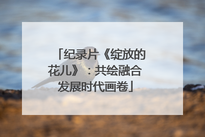 纪录片《绽放的花儿》：共绘融合发展时代画卷