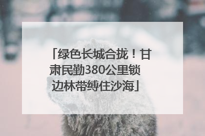 绿色长城合拢！甘肃民勤380公里锁边林带缚住沙海